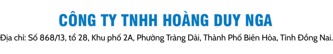 HOÀNG DUY NGA
